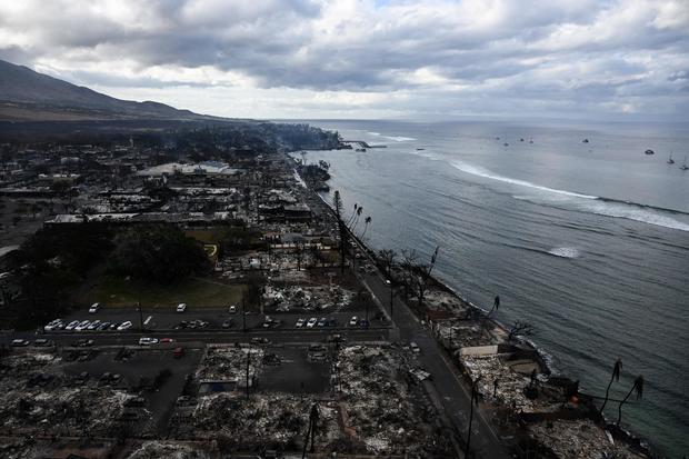 Maui Relief Fund